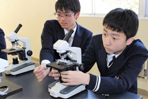 中学3年 理科s オオカナダモの観察 原形質流動 尚学館中学校 高等部