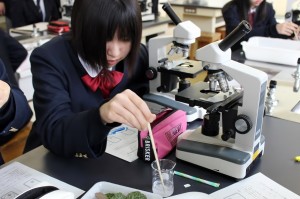 中学3年 理科s 原形質分離の観察 尚学館中学校 高等部