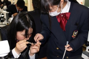 中学3年 理科s 原形質分離の観察 尚学館中学校 高等部