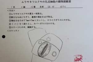 中学1年 理科 孔辺細胞の観察 尚学館中学校 高等部