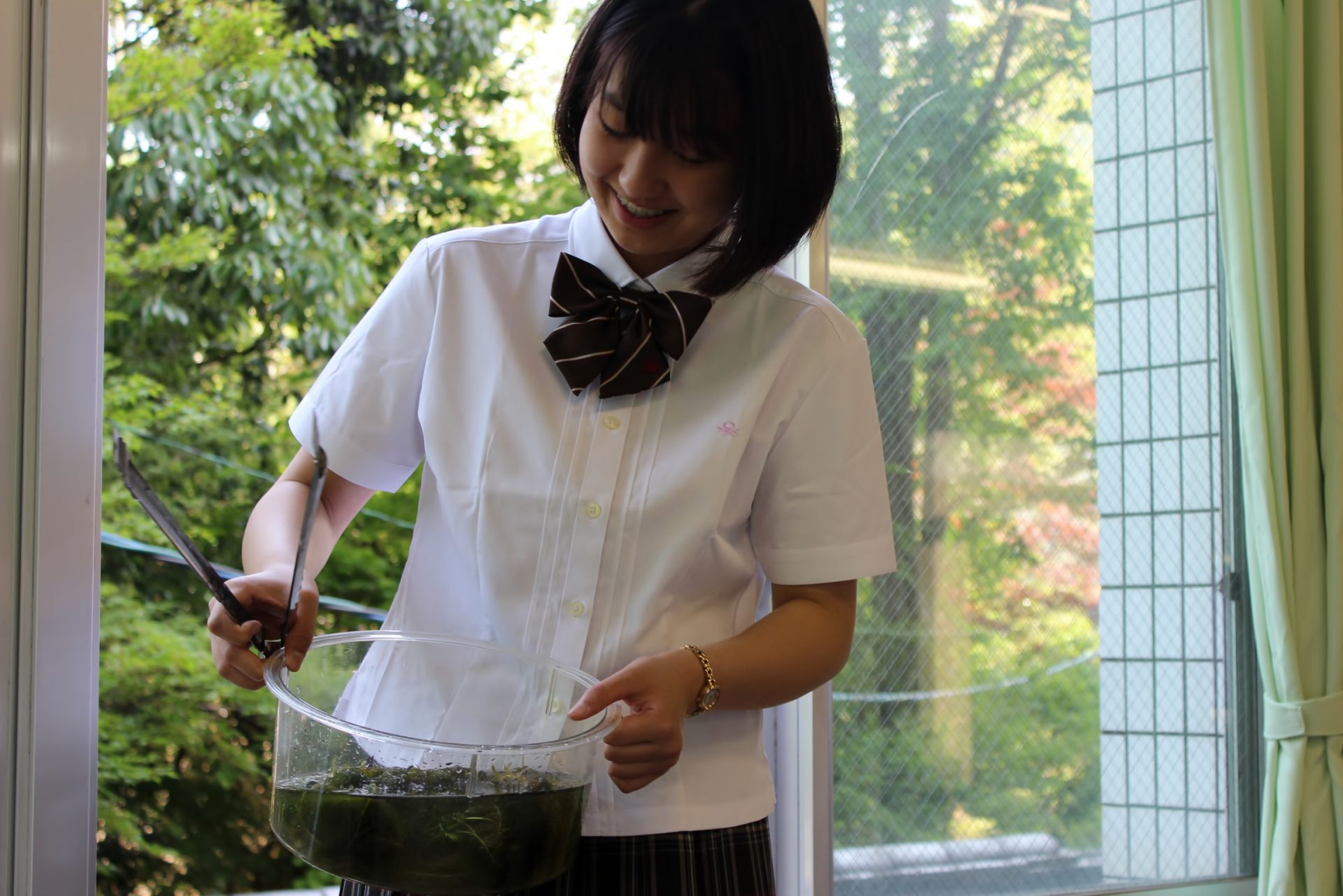 高等部4年 生物 原形質分離の観察 尚学館中学校 高等部 高等部4年 生物 原形質分離の観察 尚学館中学校 高等部