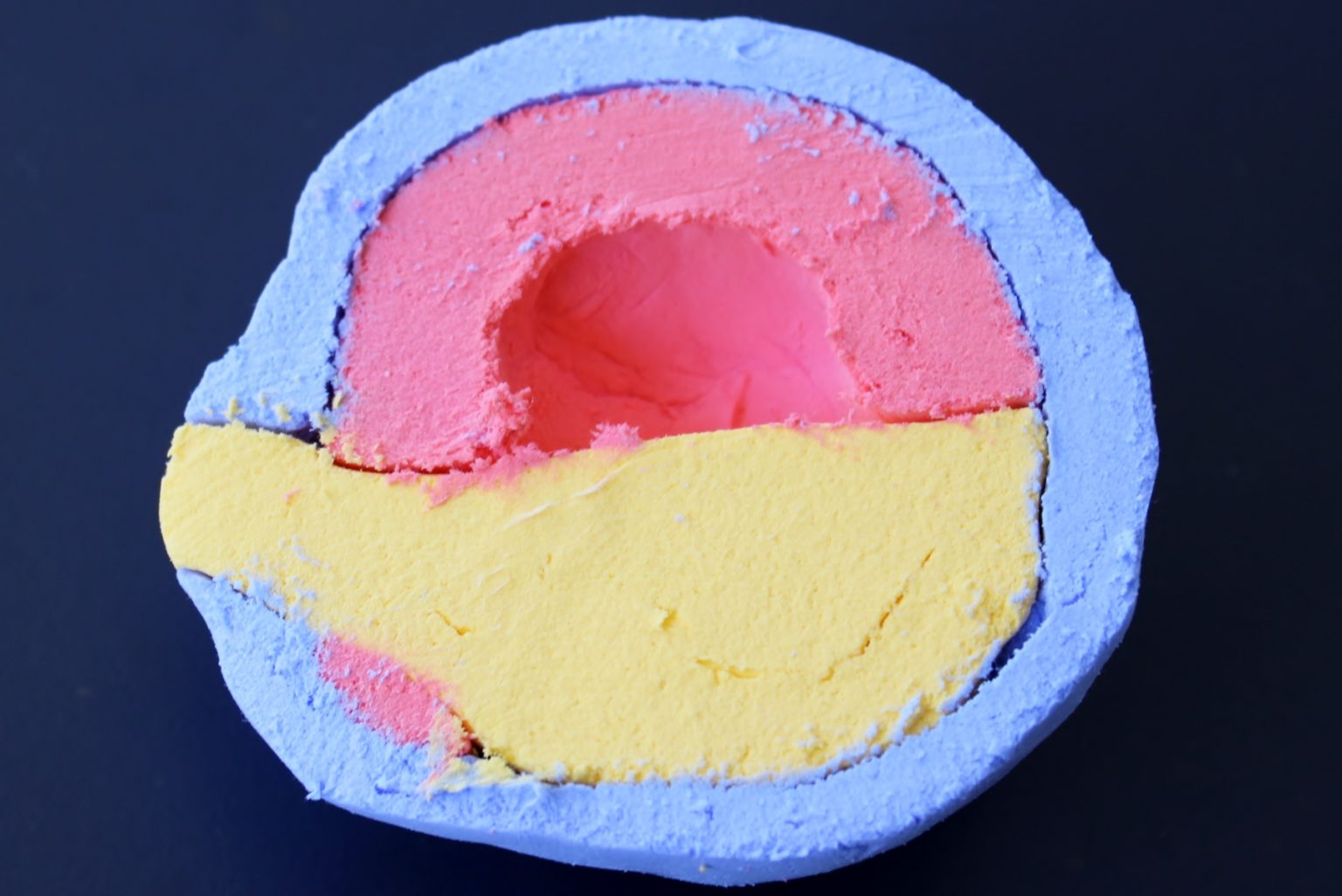 高等部5年 理系生物 「3色の ねんどで作る 原腸胚」 尚学館中学校・高等部