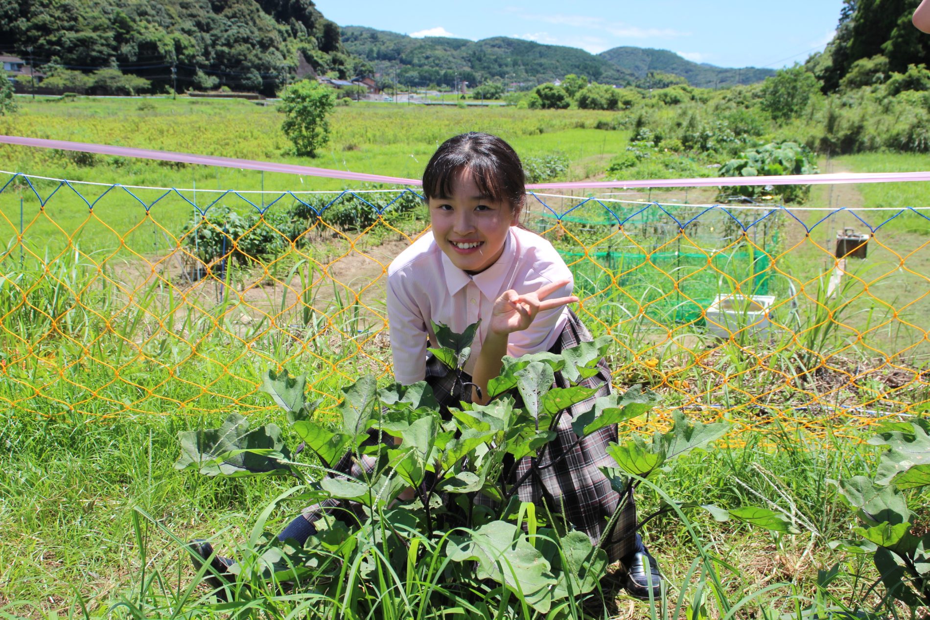 中学1年 総合的な学習の時間 「畑で収穫」～野菜もみんなも大きくなっ